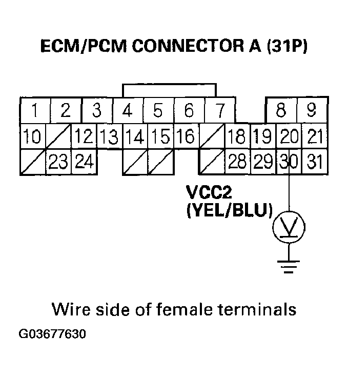 G03677630
