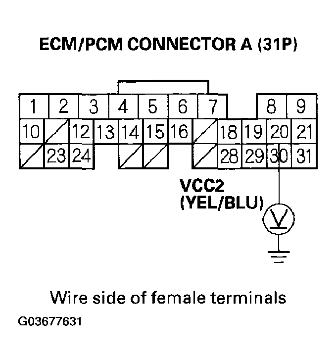 G03677631