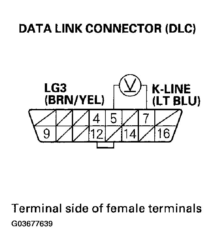 G03677639