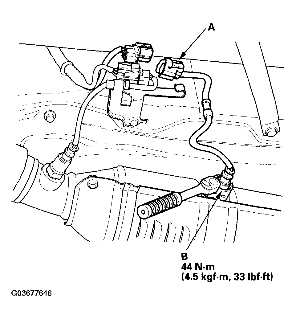 G03677646