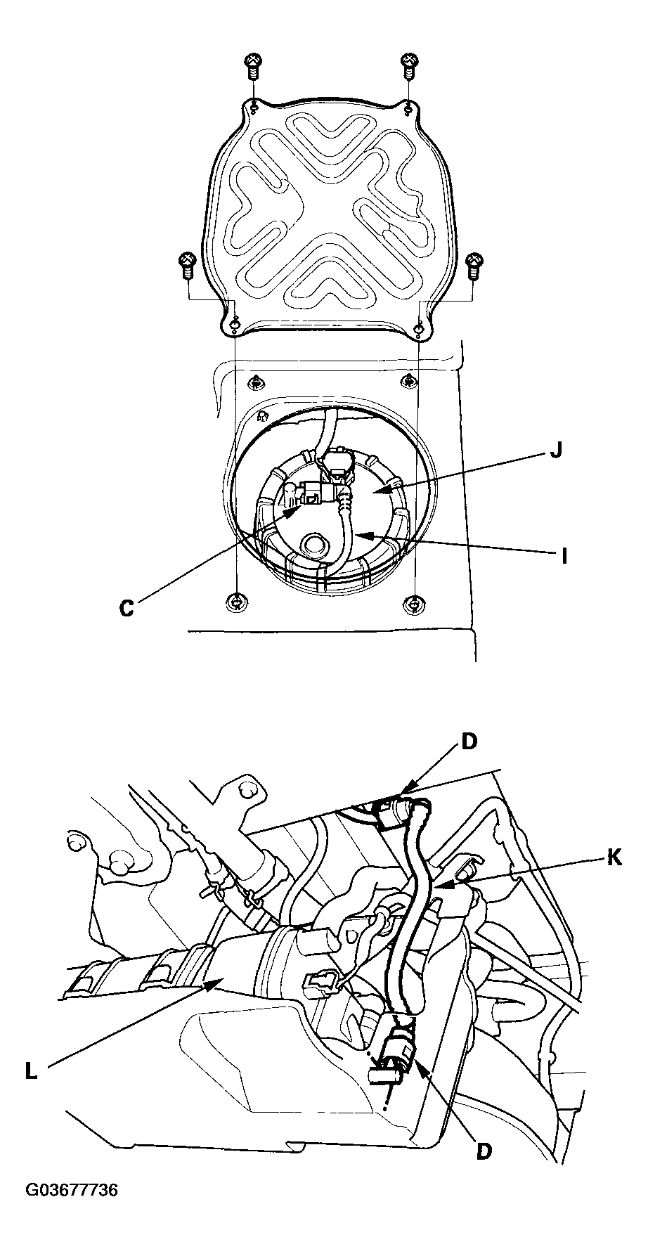 G03677736