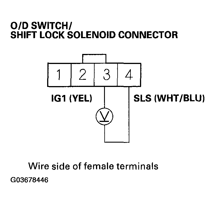 G03678446