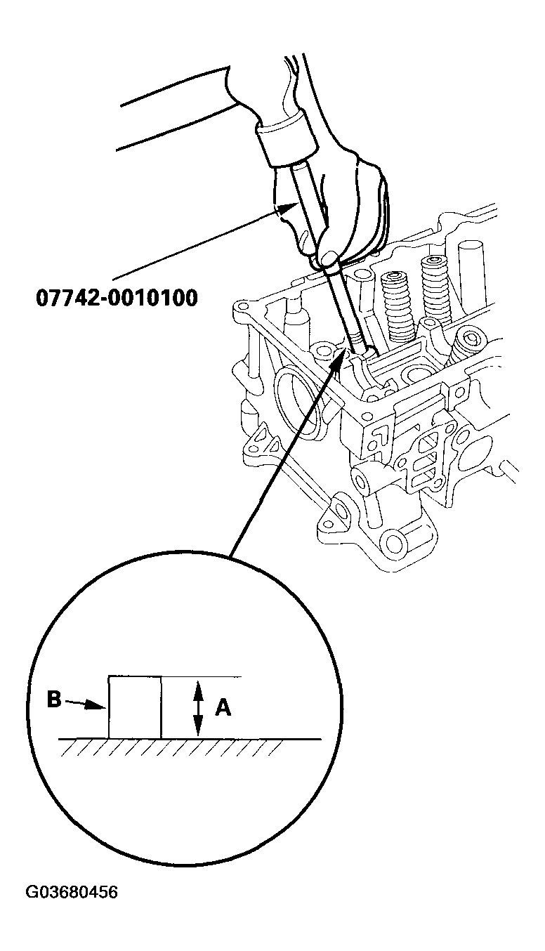 G03680456