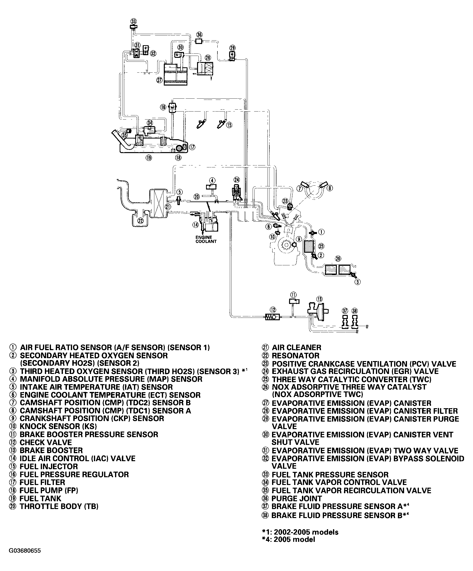 G03680655