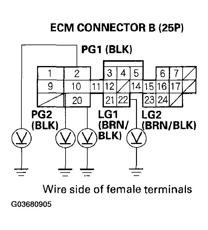 G03680905