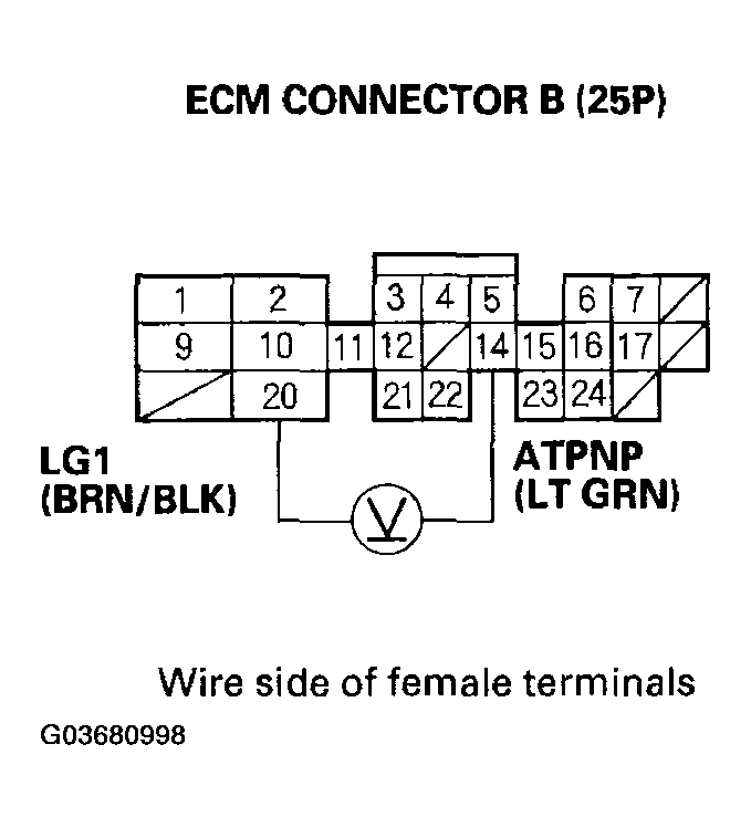 G03680998