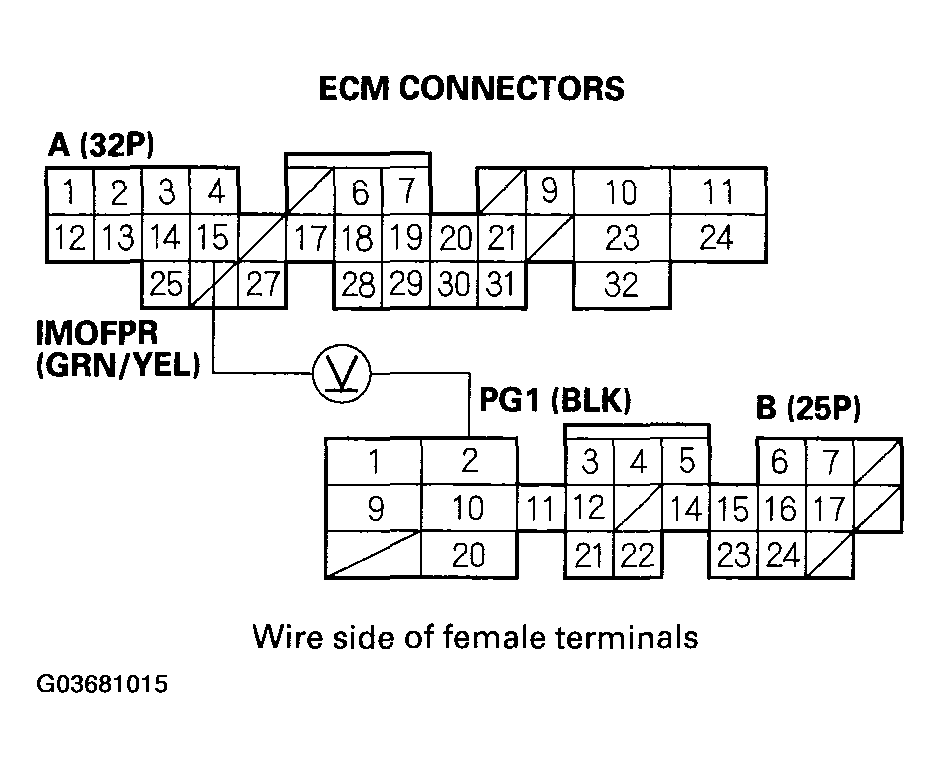 G03681015