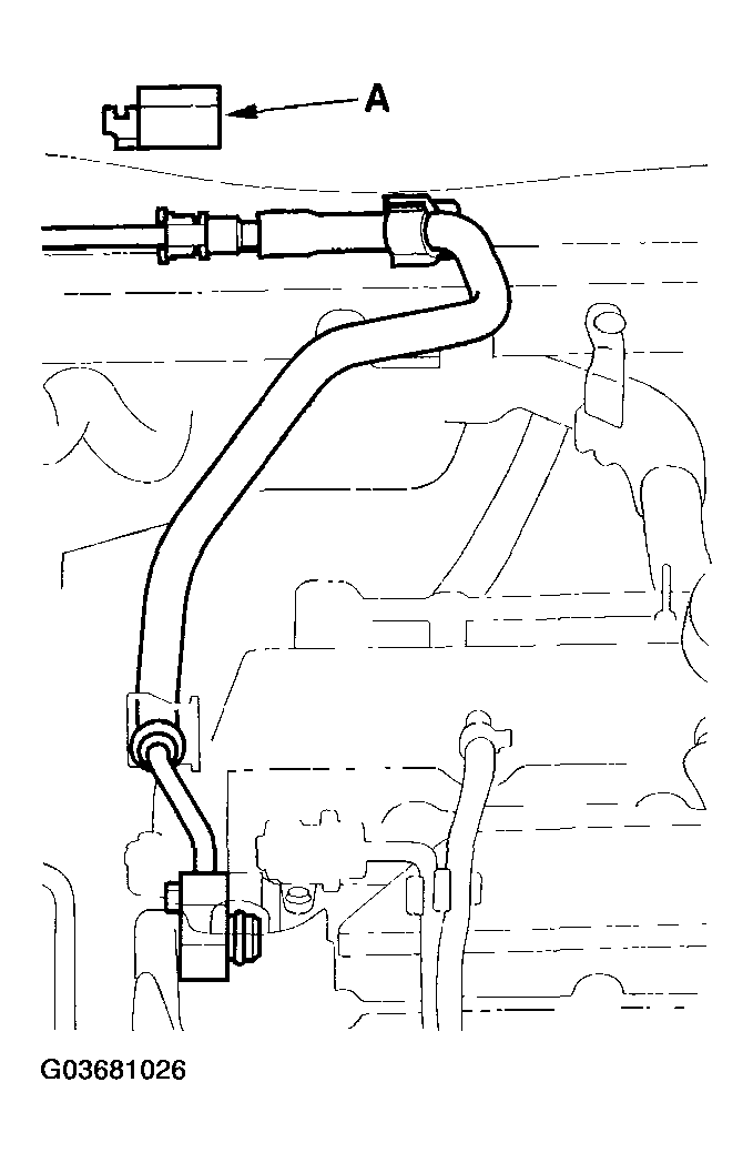 G03681026