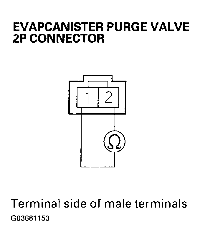 G03681153