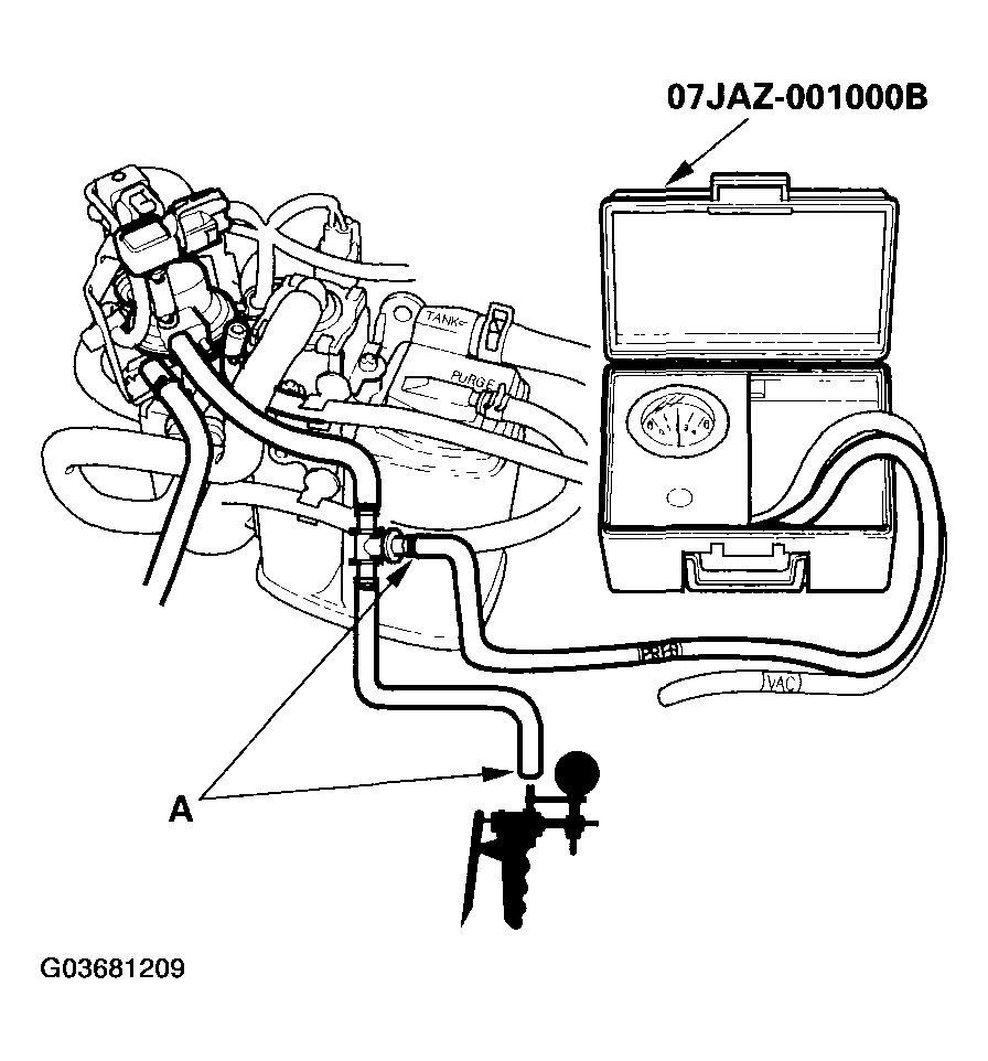 G03681209