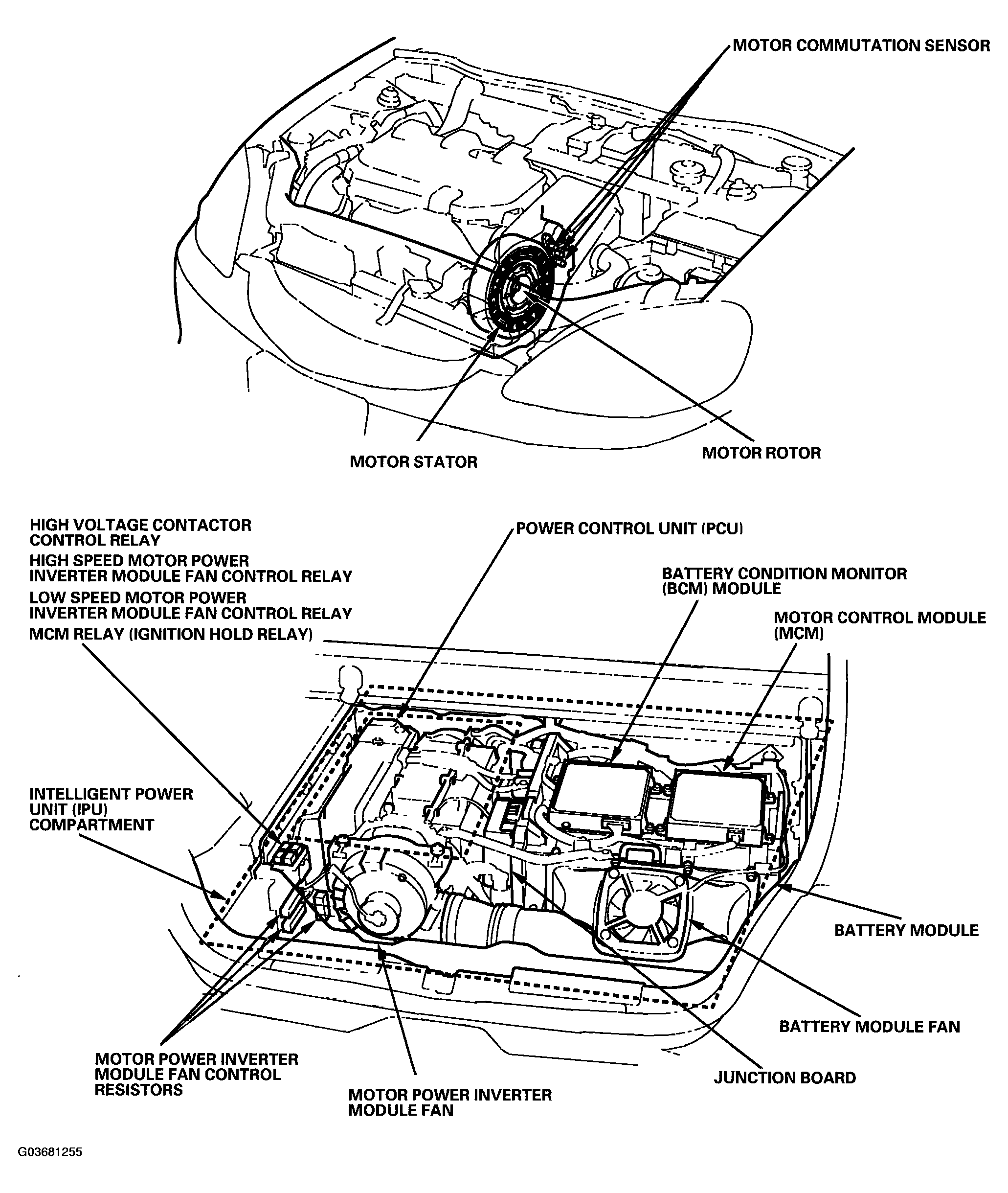 G03681255