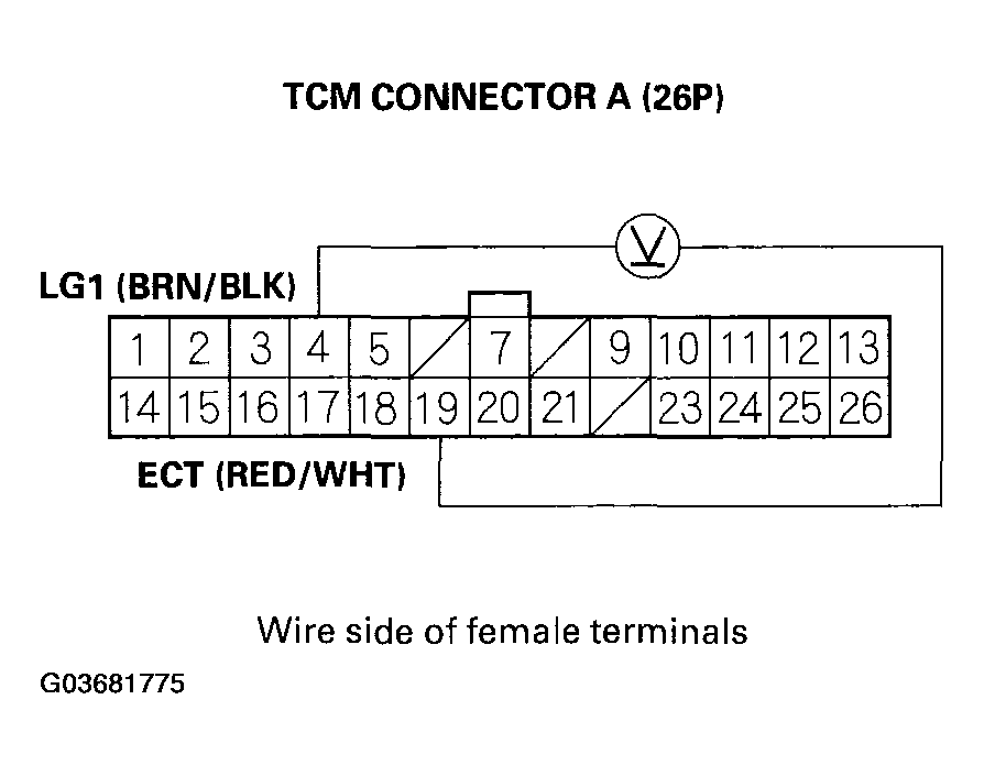 G03681775