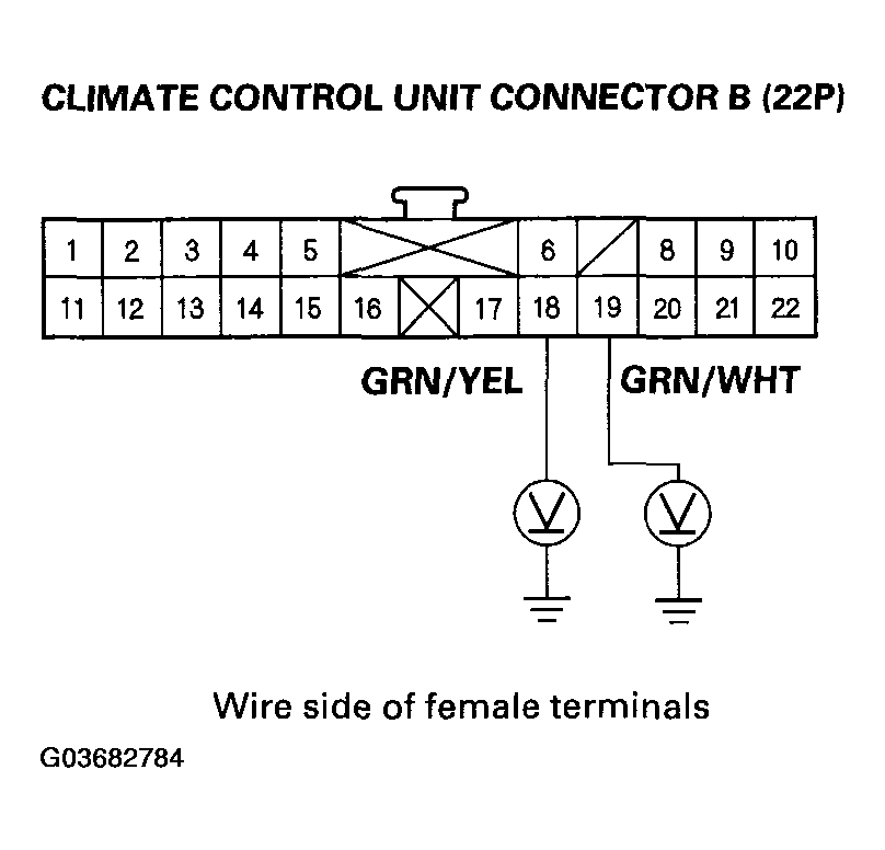 G03682784