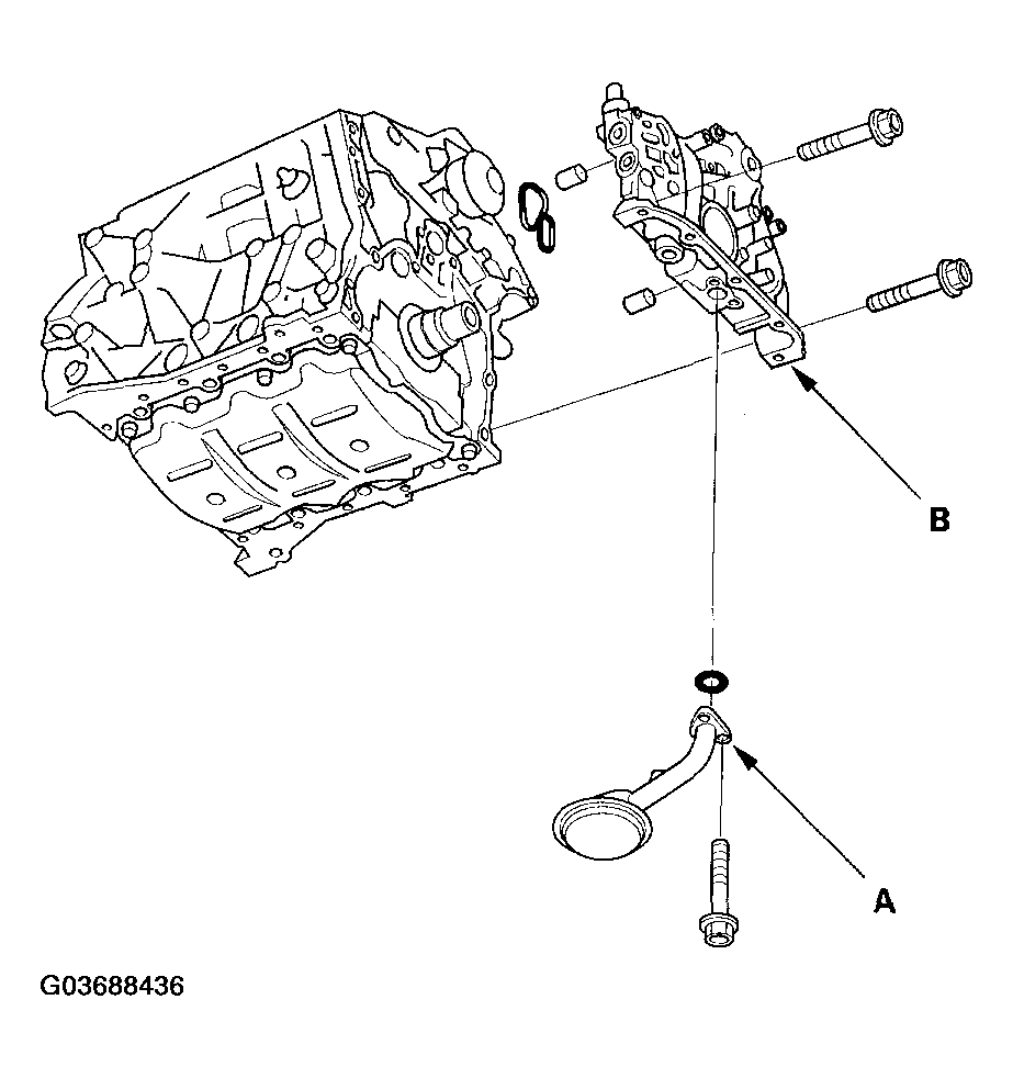 G03688436