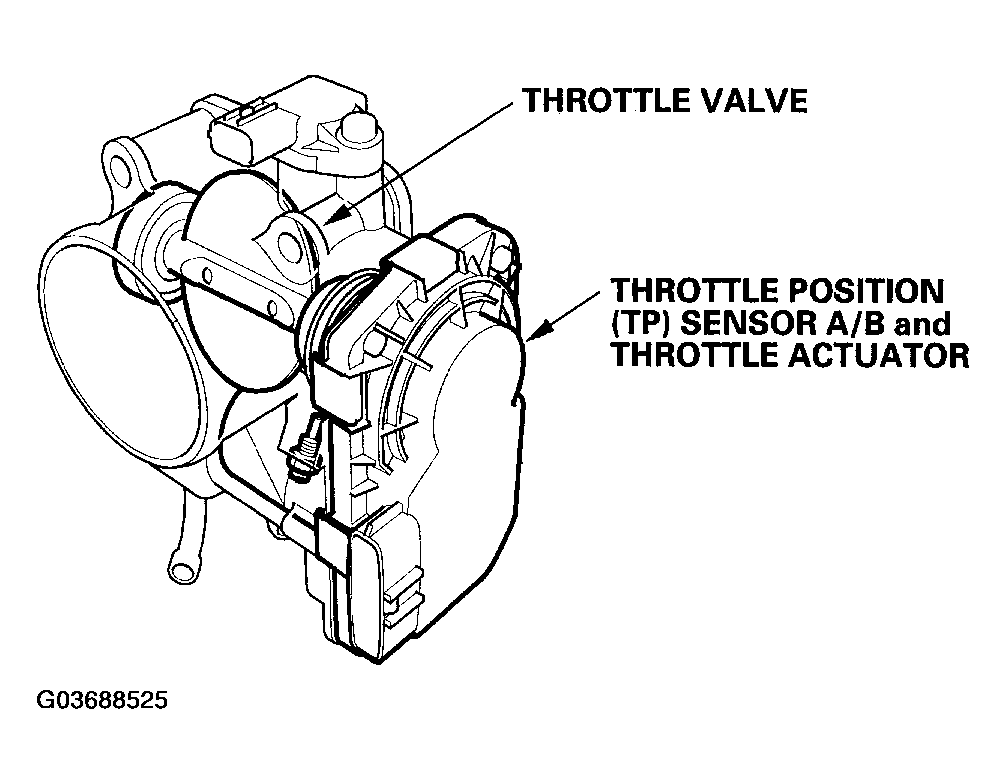 G03688525