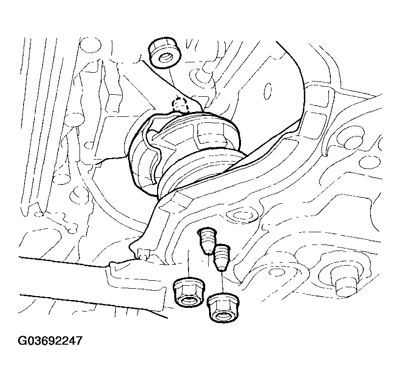 G03692247