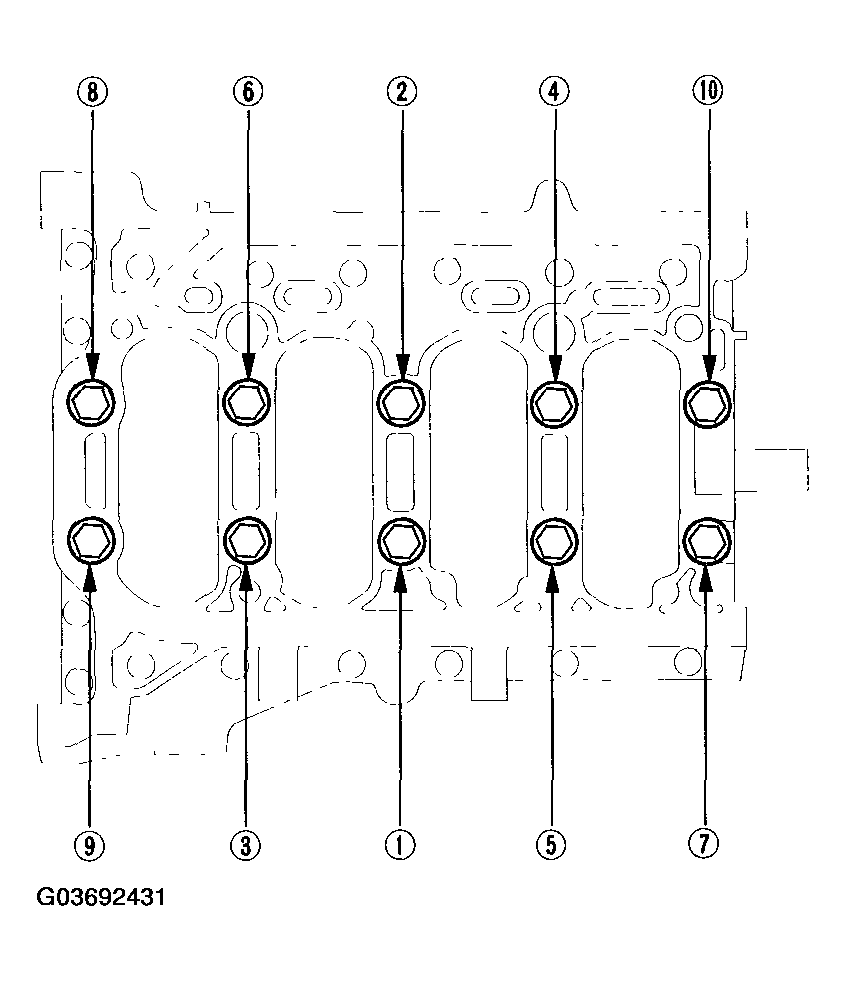 G03692431