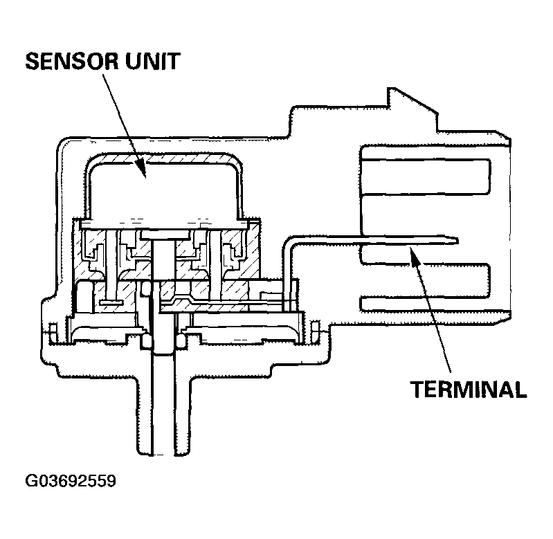G03692559
