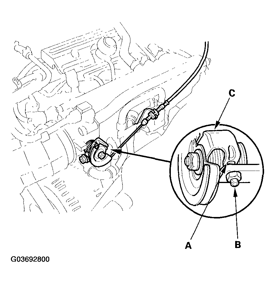G03692800