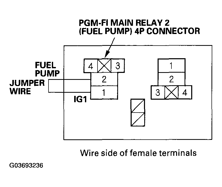 G03693236