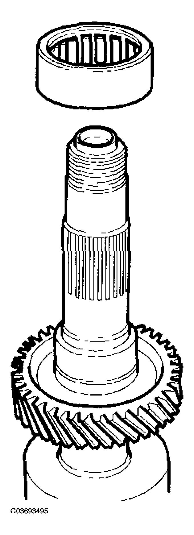 G03693495