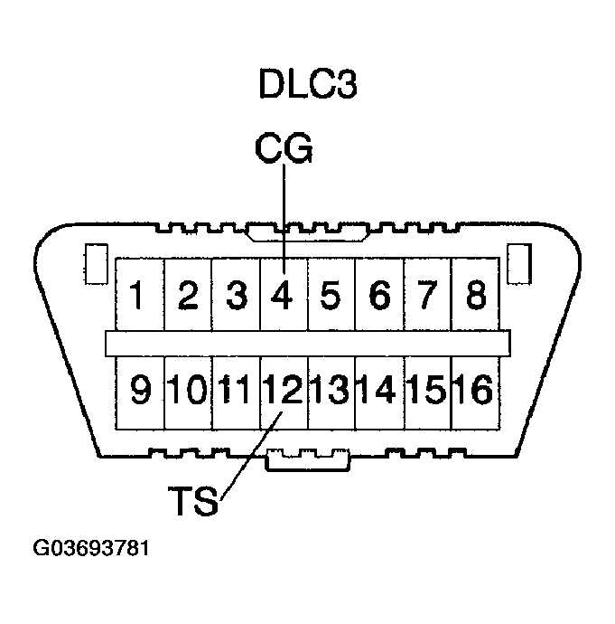 G03693781