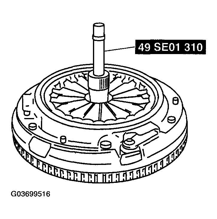 G03699516