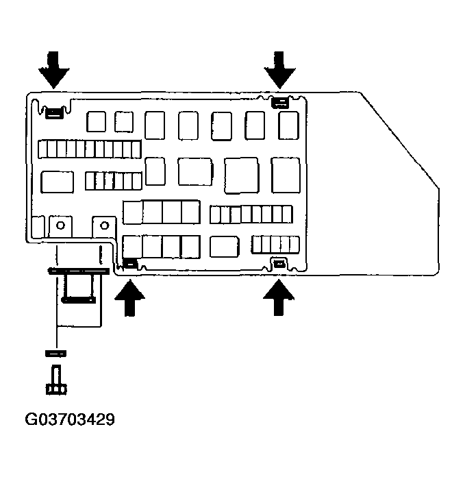 G03703429