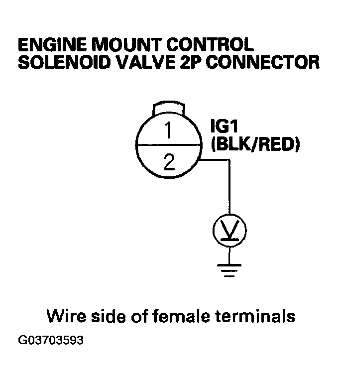 G03703593