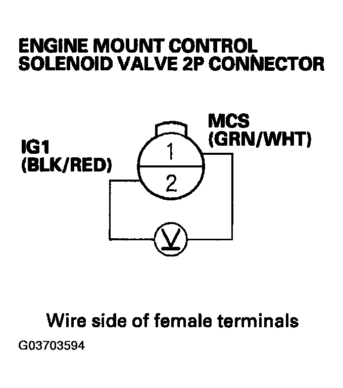 G03703594