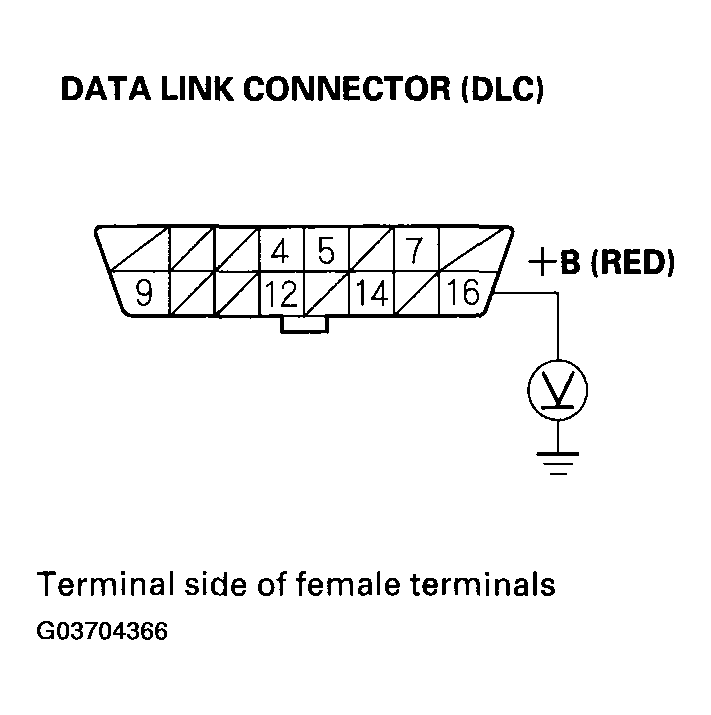 G03704366