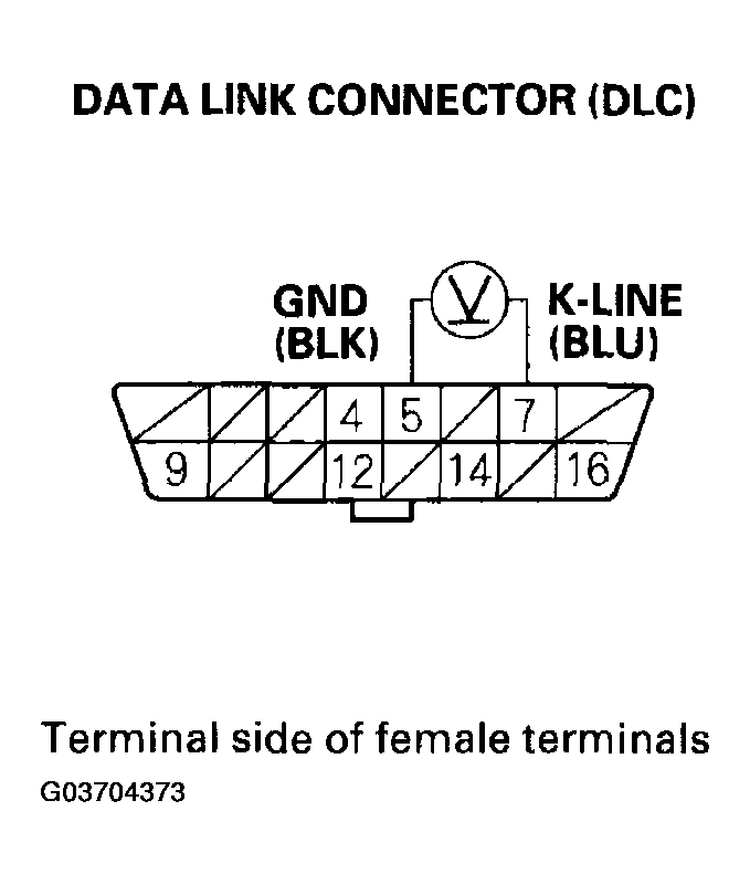 G03704373