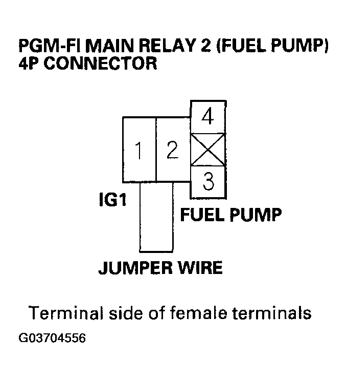 G03704556