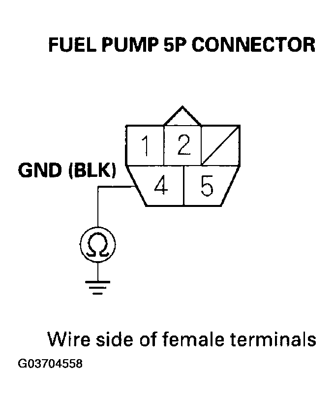 G03704558