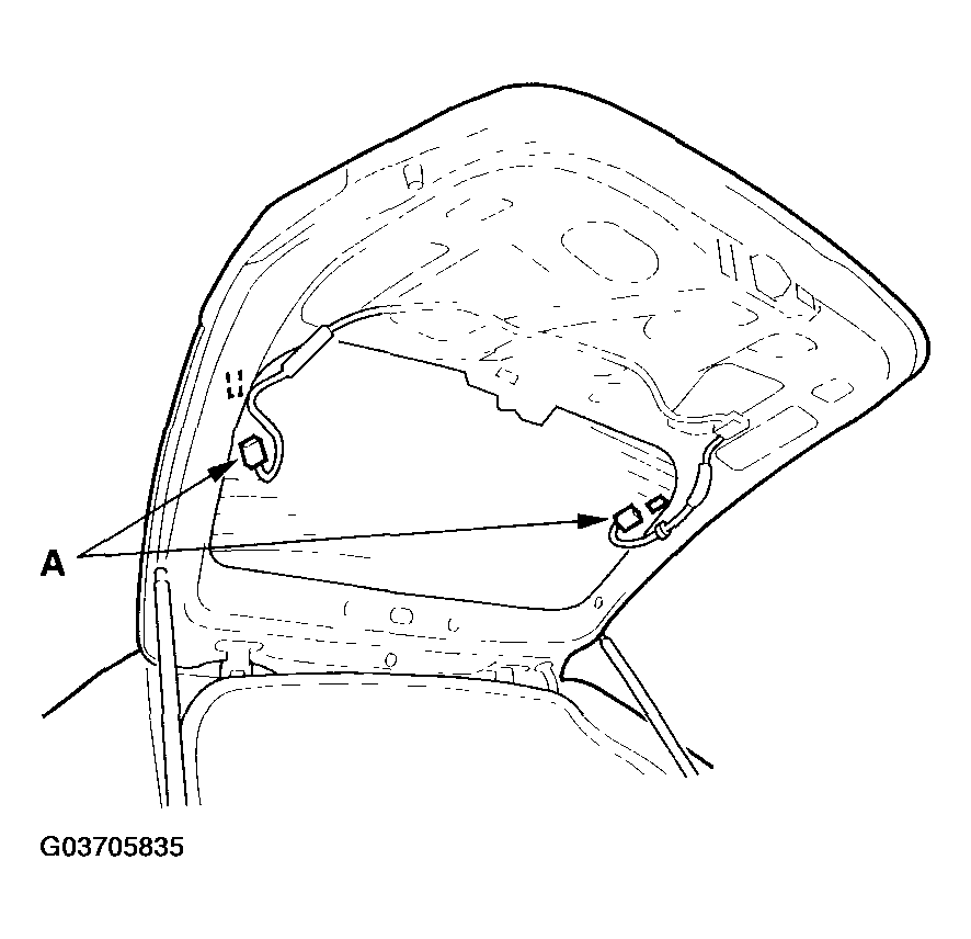 G03705835