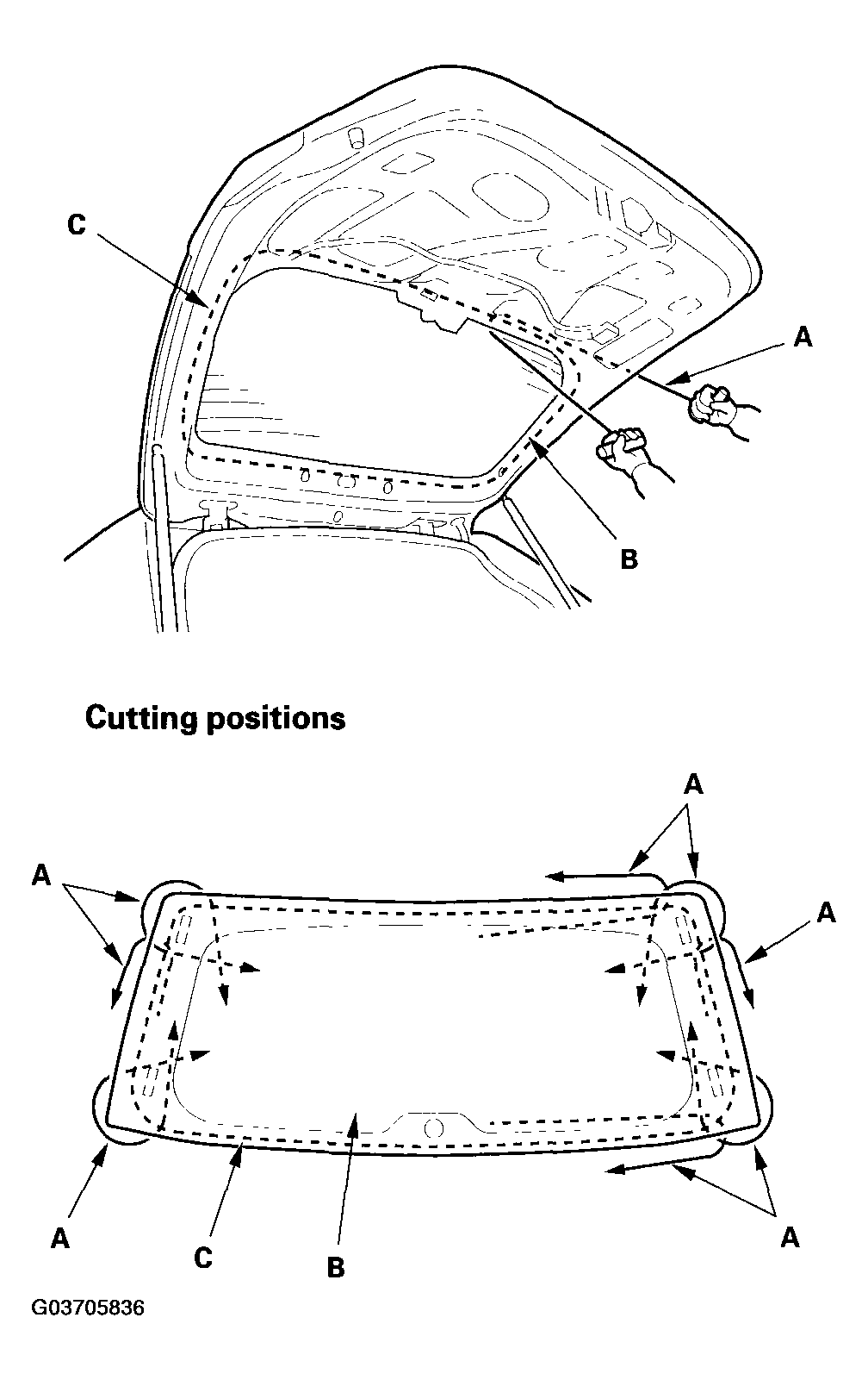 G03705836