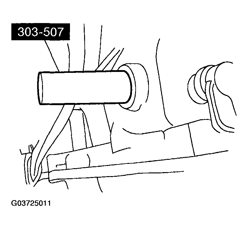 G03725011