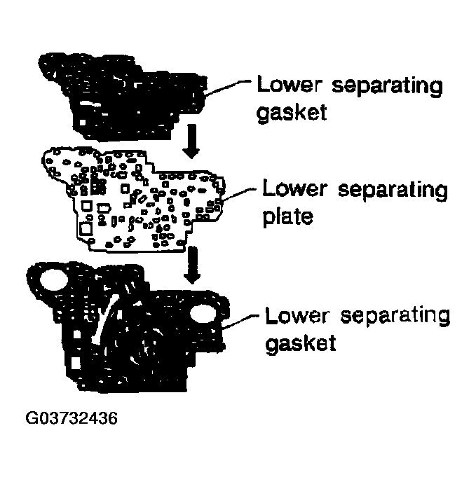 G03732436