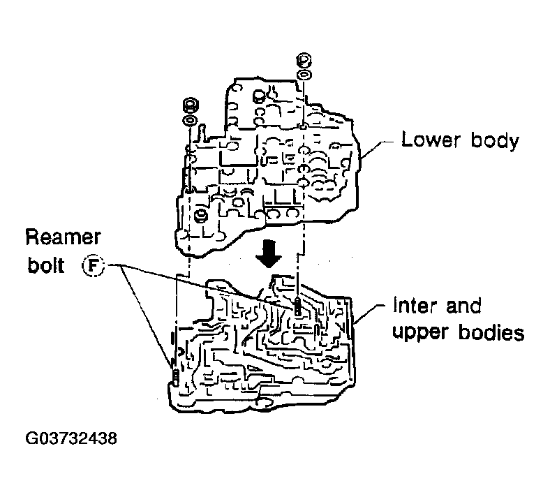 G03732438
