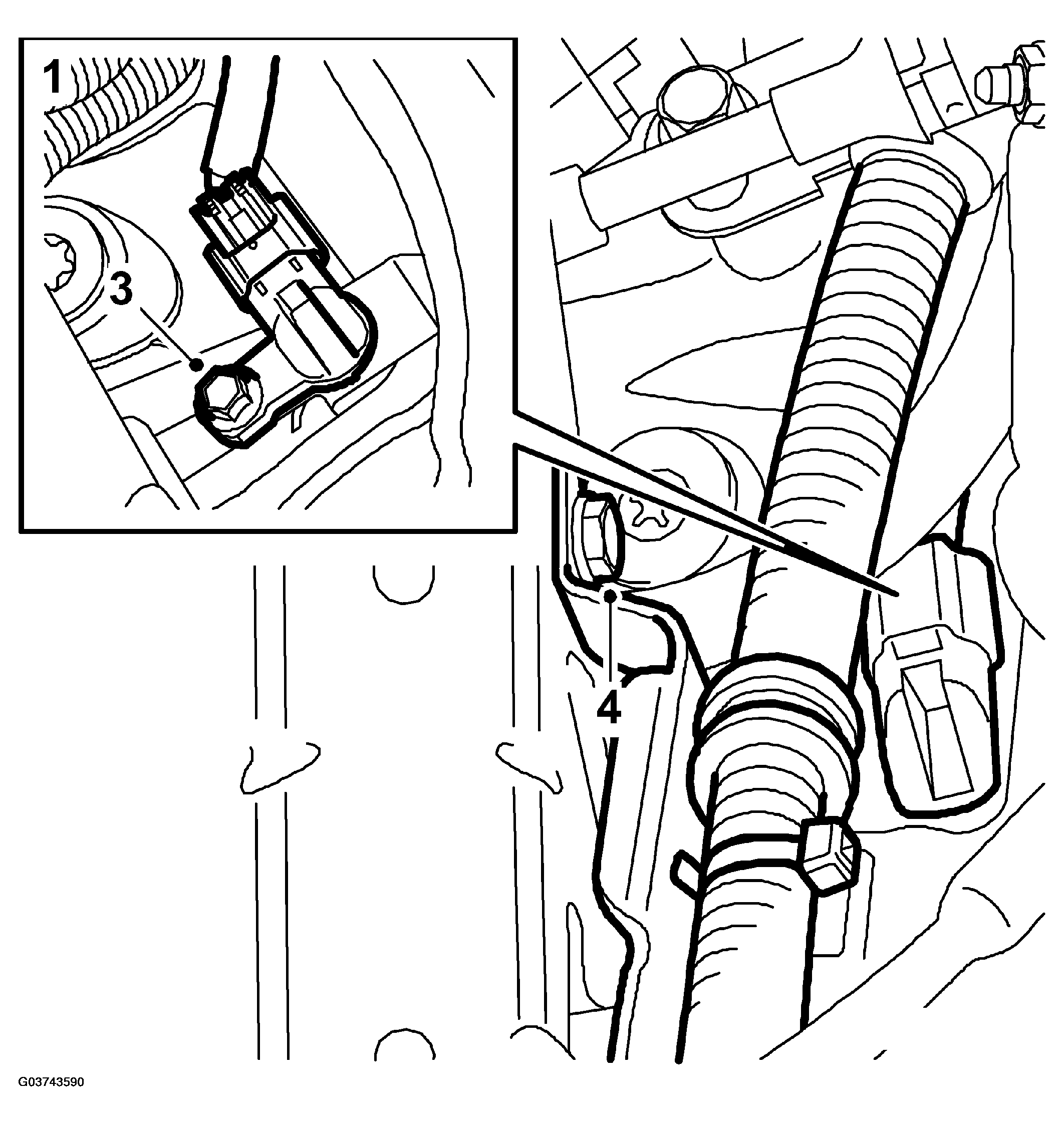 G03743590