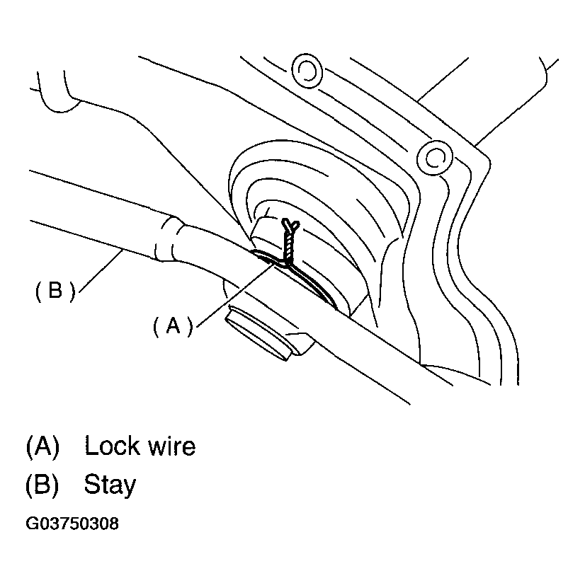 G03750308