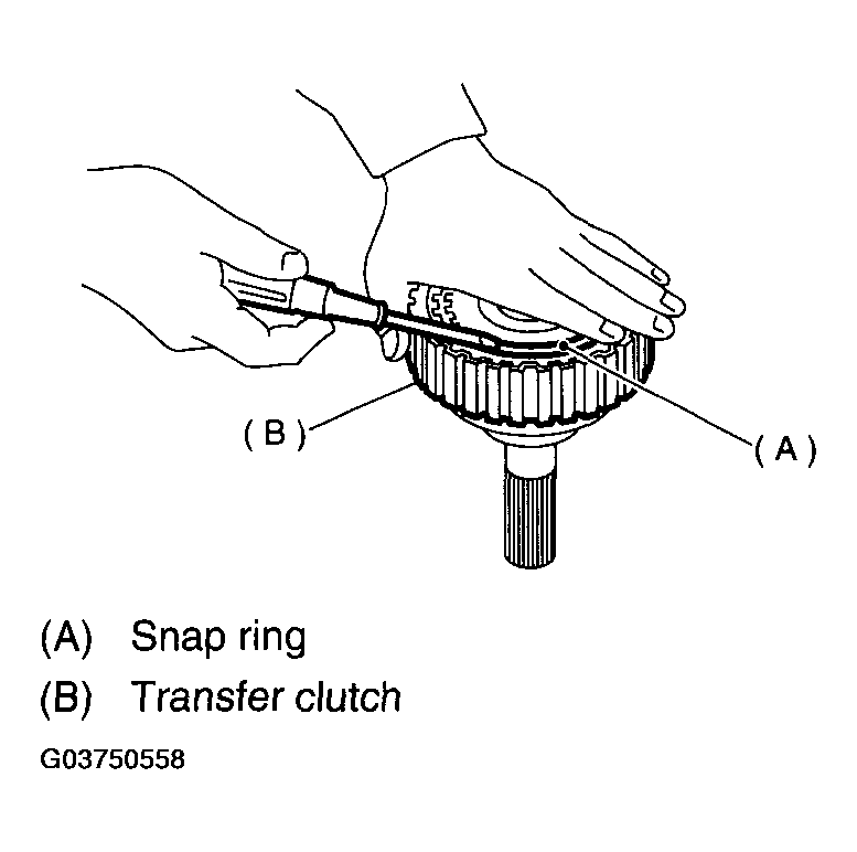 G03750558
