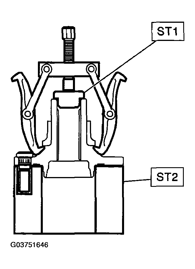G03751646