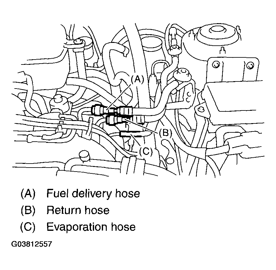 G03812557