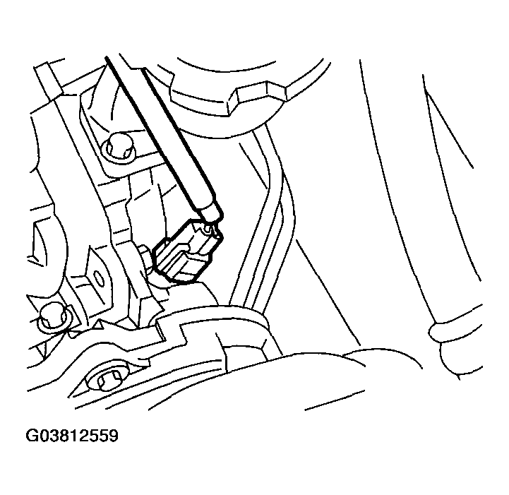 G03812559