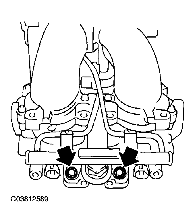 G03812589