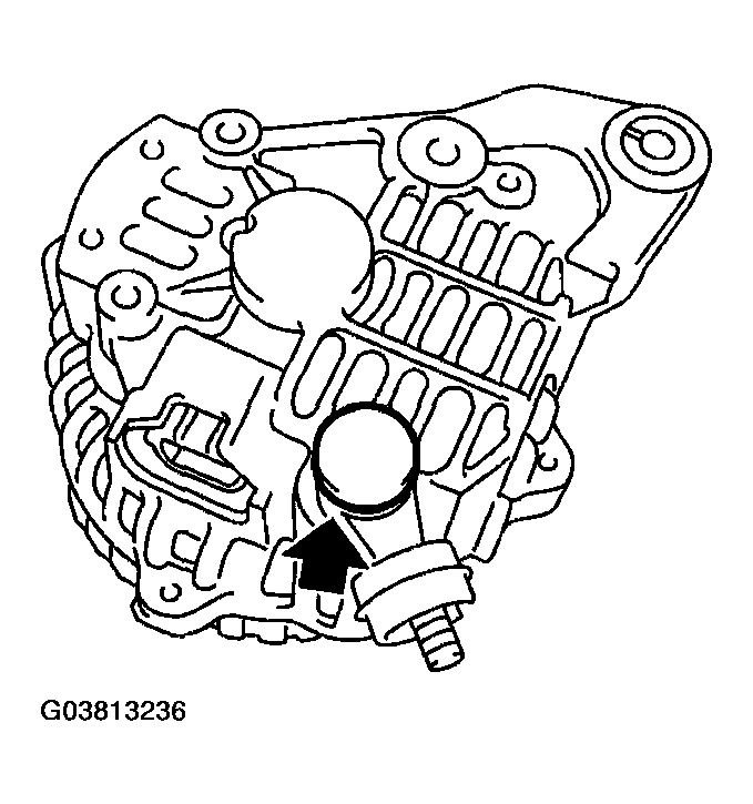 G03813236