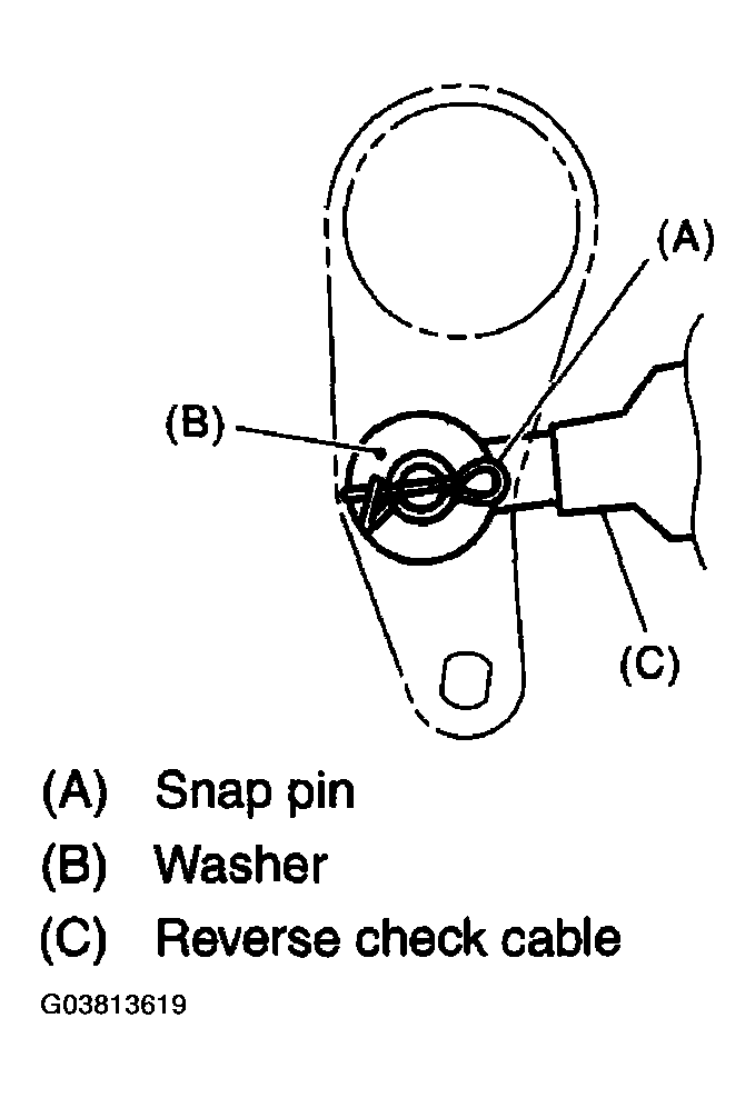 G03813619
