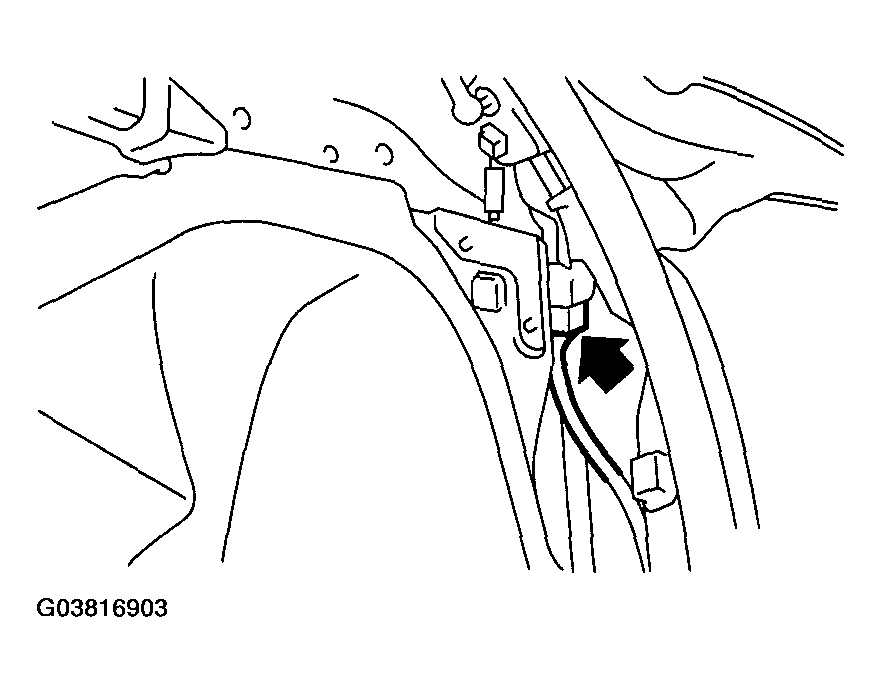 G03816903