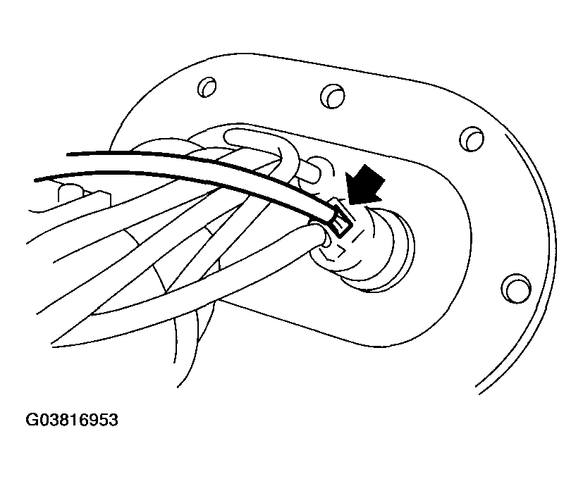 G03816953